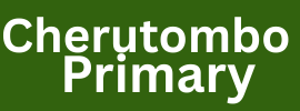 Churutombo Primary Using Havano ERP