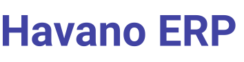 Havano ERP LOGO (1)