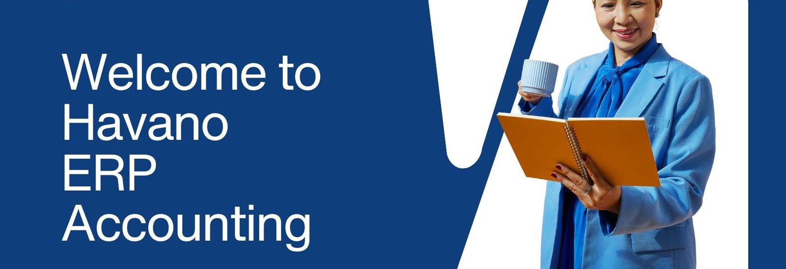Welcome to Havano Accounting Software